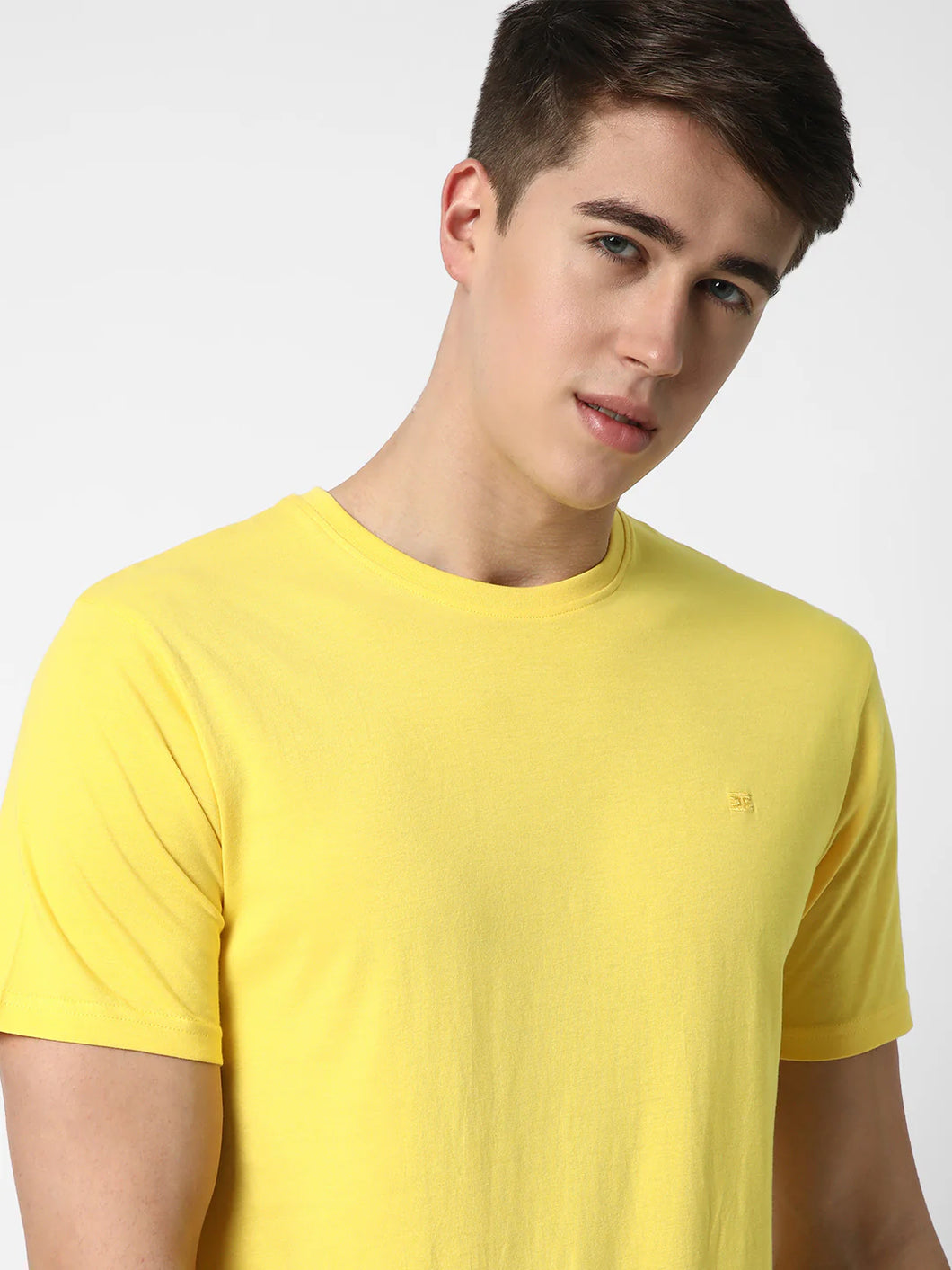 Cotton Fabrics Round Neck Short Length Half Sleeve Casual & Daily Wear Men's T-Shirts