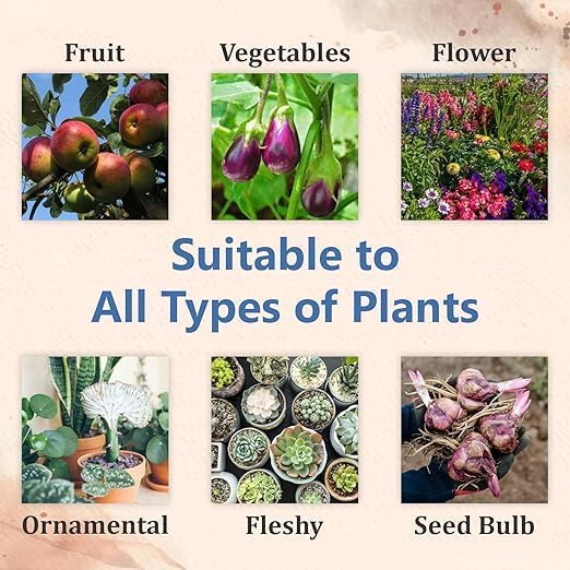 Japanese Amino Acid Shampoo Japan Evening Tree Shampoo Thick and Smooth Hair (PACK OF 2) - TREZ_SAKURA SHEMPOO_PC-2