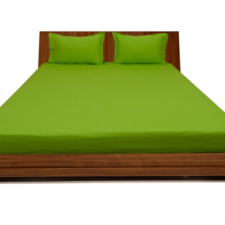 (1 Fitted Sheet & 2 Pillowcases,Parrot Green Stripe, Full, Pocket Size 15 Inches 100% Egyptian Cotton Luxurious 600 Thread Count