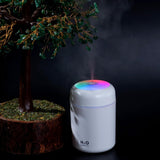 Room Moisture, Aroma Diffuser for Home, Mist Maker, Cool Mist Humidifier,