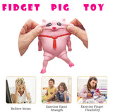 Novelty Cute Squishy Toy Pink Pig Gifts for Kids Adults, Decompress and Stress Stretch Animal Anxiety Relief Autism Disorders, Funny Pig Man...