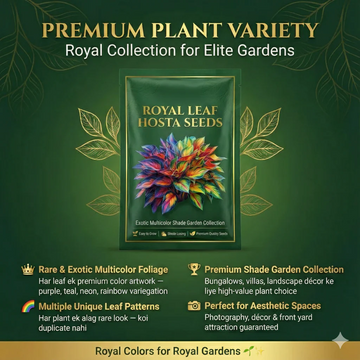 Multicolor Hosta Seeds + Plant Growth Serum Free